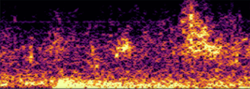 example spectrogram using the Inferno gradient